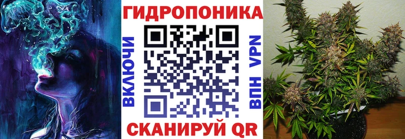 Шишки марихуана Amnesia  Купить  Кизилюрт 